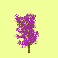 greenshift tree