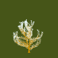 greenshift tree