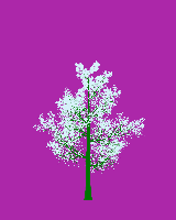 greenshift tree
