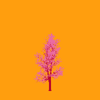 greenshift tree