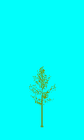 greenshift tree