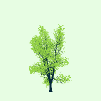 greenshift tree