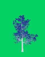 greenshift tree