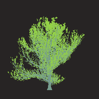 greenshift tree