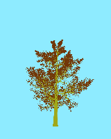 greenshift tree