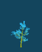 greenshift tree