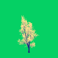 greenshift tree