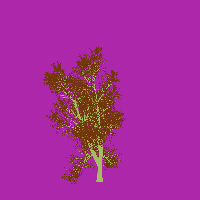 greenshift tree