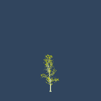 greenshift tree
