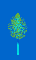 greenshift tree
