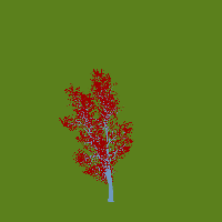 greenshift tree