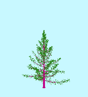 greenshift tree