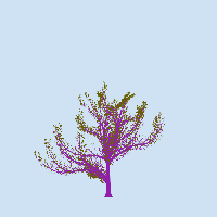 greenshift tree