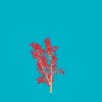 greenshift tree