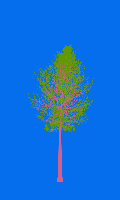 greenshift tree