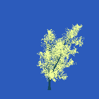greenshift tree