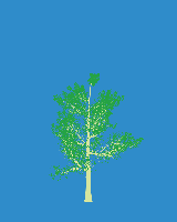 greenshift tree