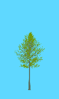 greenshift tree