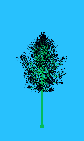 greenshift tree