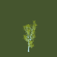greenshift tree