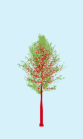 greenshift tree
