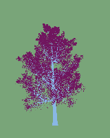 greenshift tree