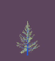 greenshift tree