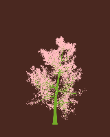 greenshift tree