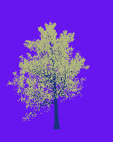 greenshift tree