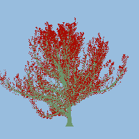 greenshift tree