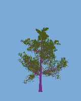 greenshift tree