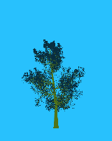 greenshift tree
