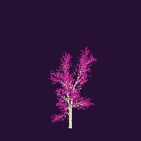 greenshift tree