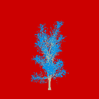 greenshift tree