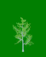greenshift tree