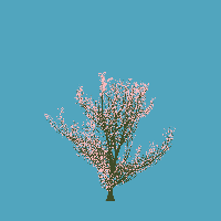 greenshift tree