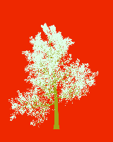 greenshift tree