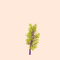 greenshift tree