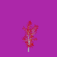 greenshift tree