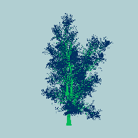 greenshift tree