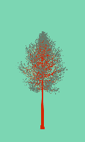 greenshift tree