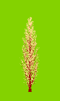 greenshift tree