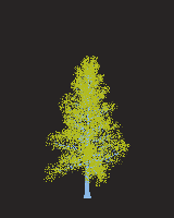 greenshift tree