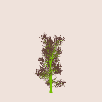 greenshift tree