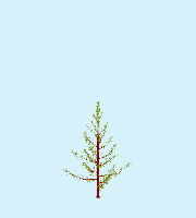 greenshift tree