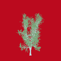 greenshift tree