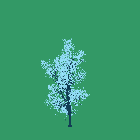 greenshift tree
