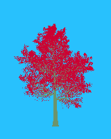 greenshift tree