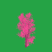 greenshift tree
