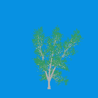 greenshift tree